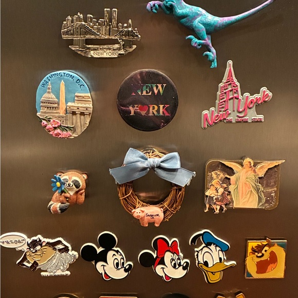 Assorted Fridge Magnets - Picture 3 of 5